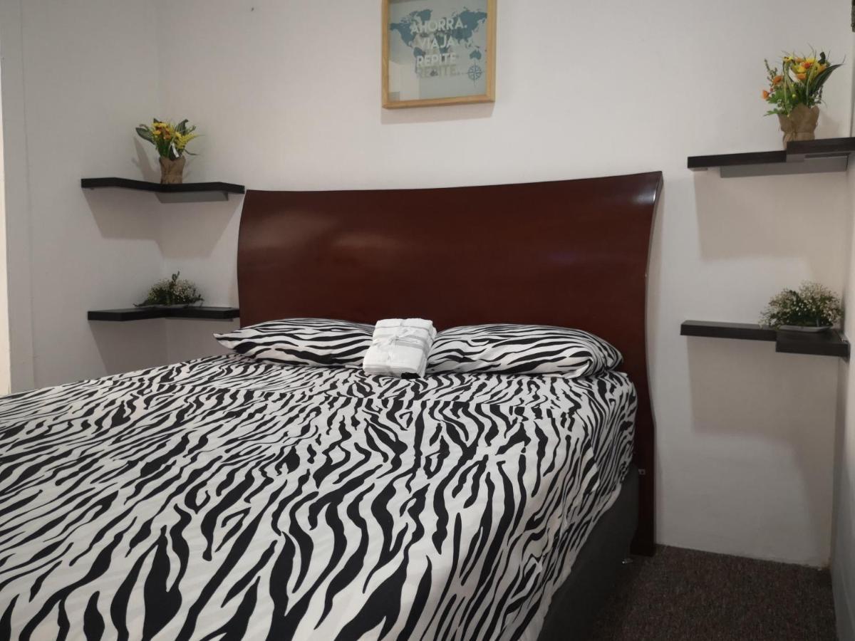 Apartamento Cómodos Y Acogedores - *